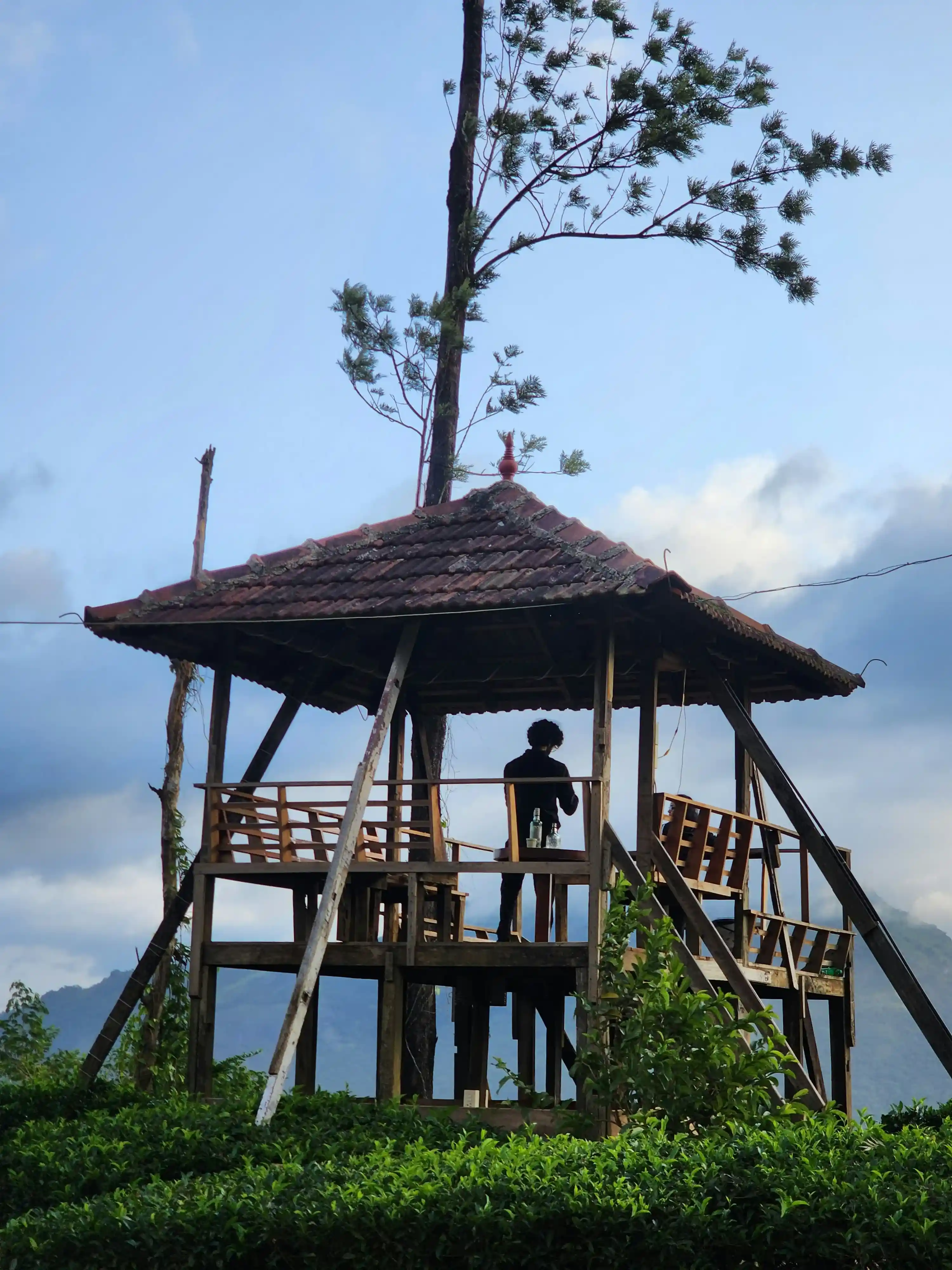 Wayanad