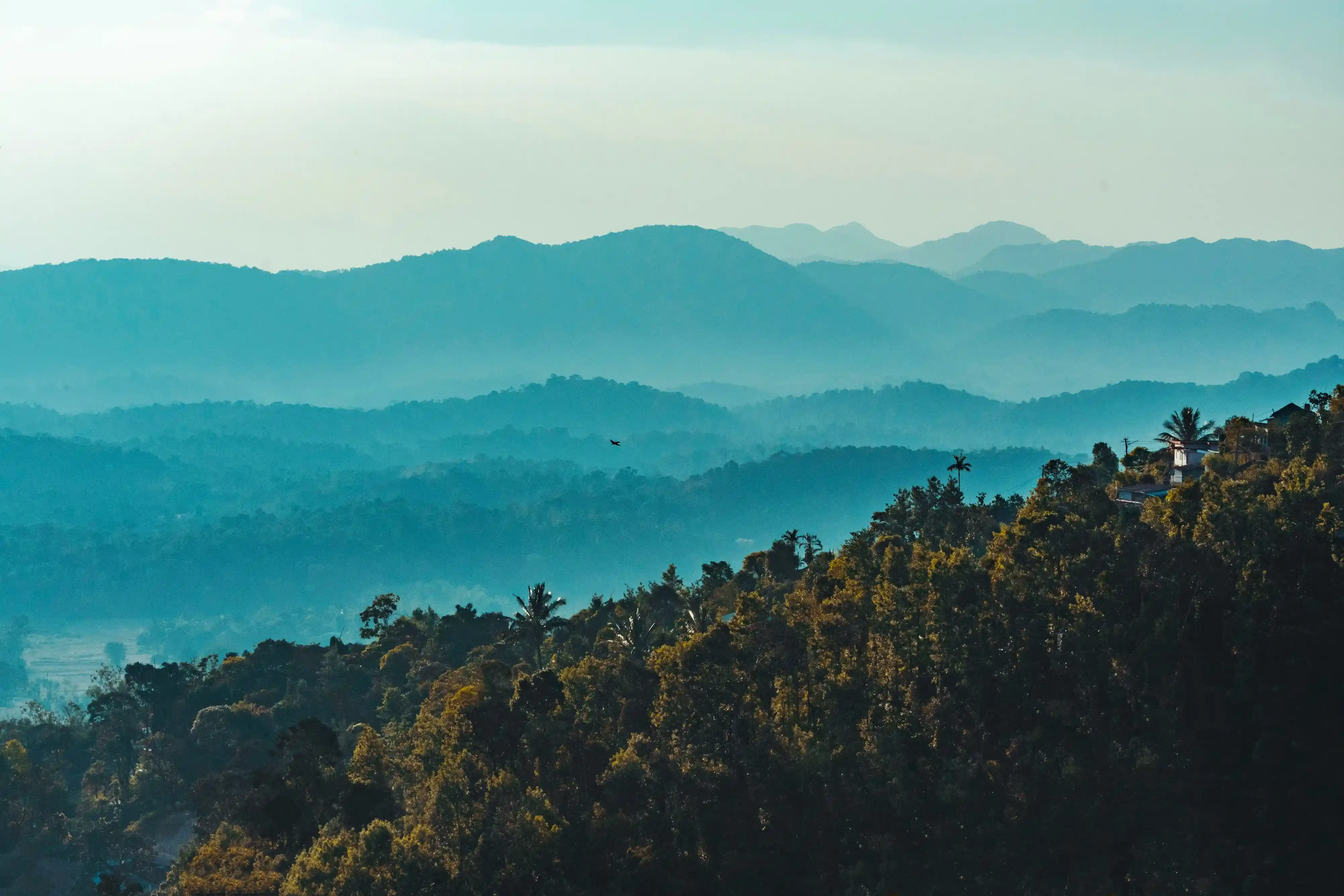 Coorg