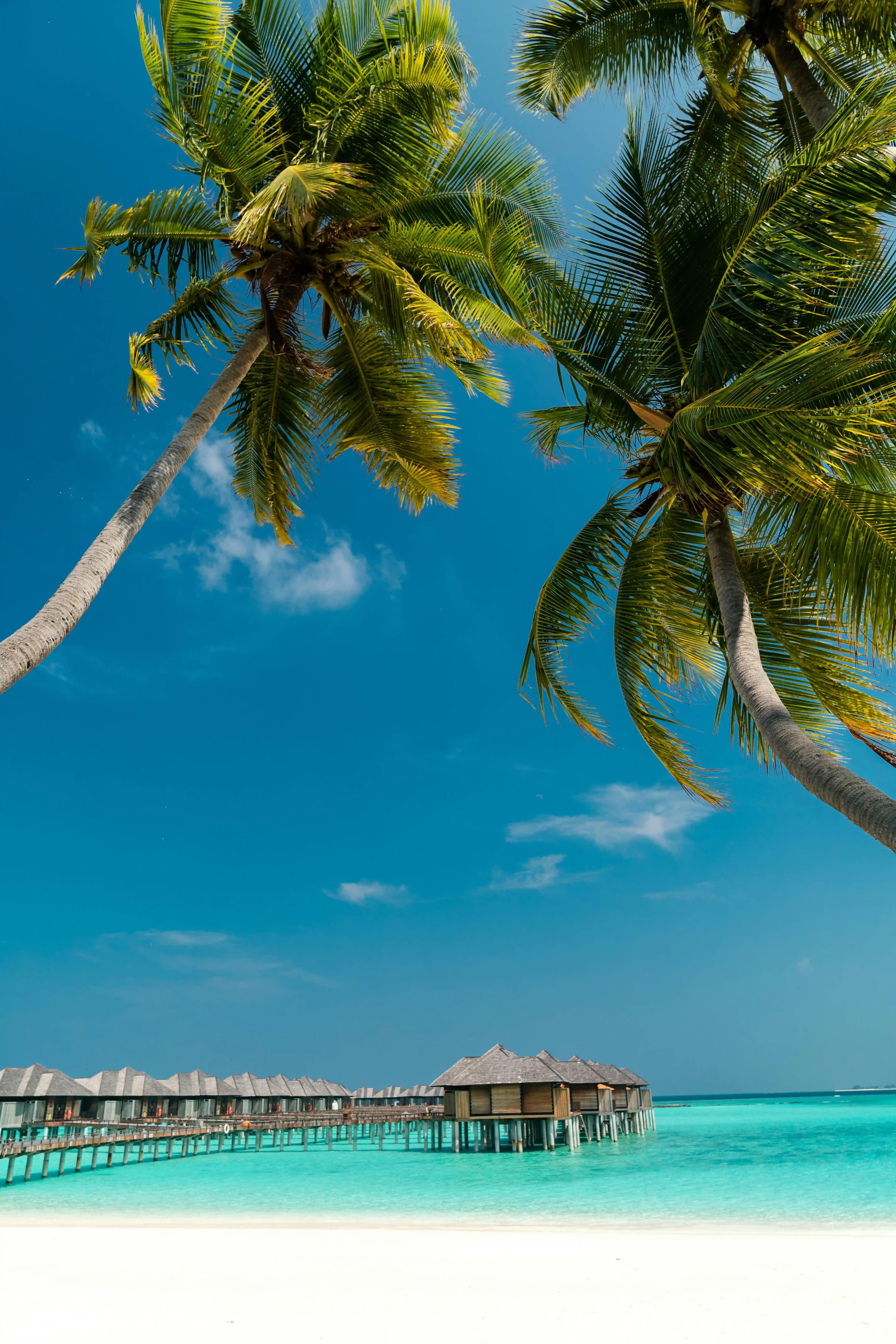 Maldives