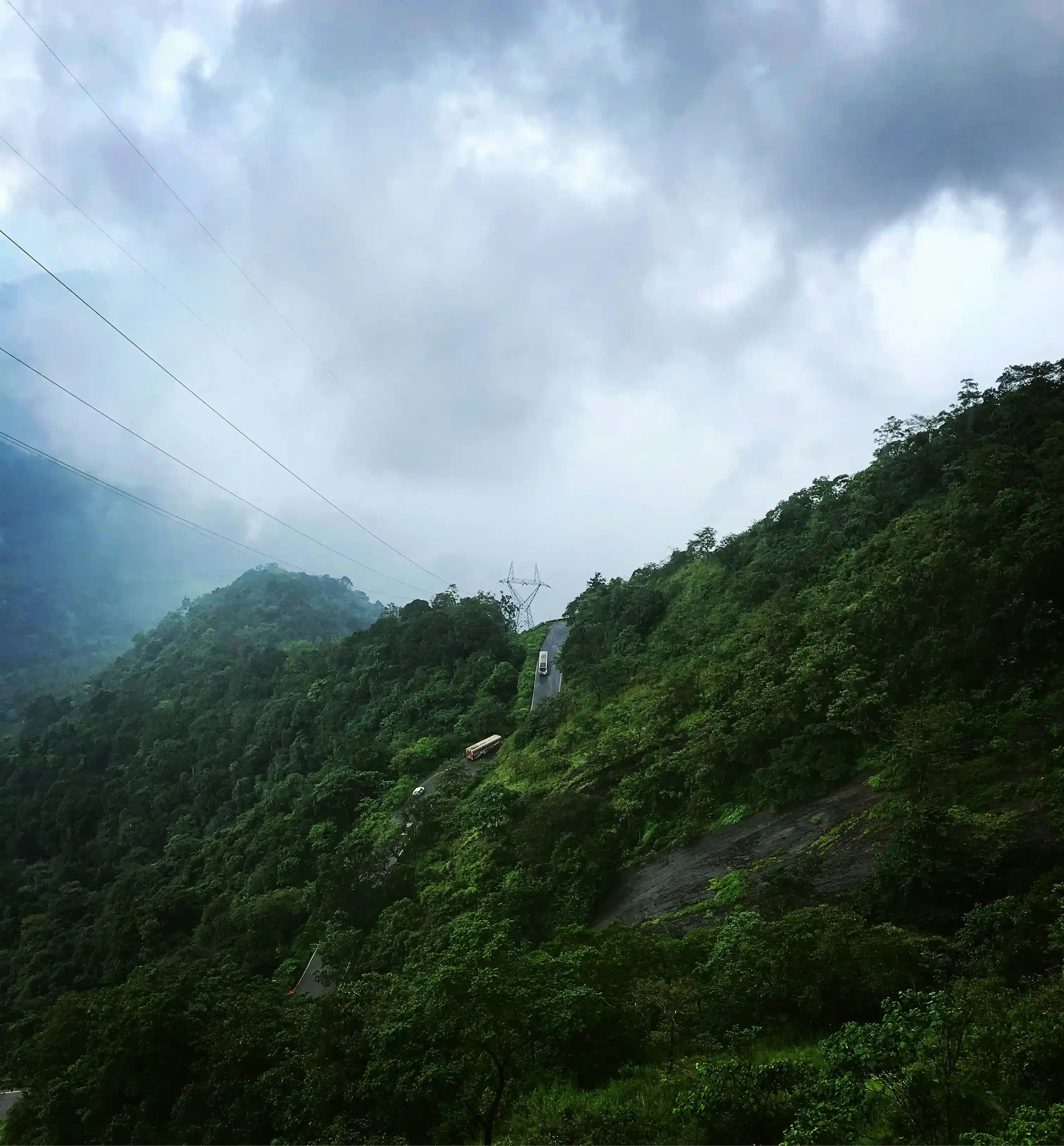Wayanad 1 Day Tour