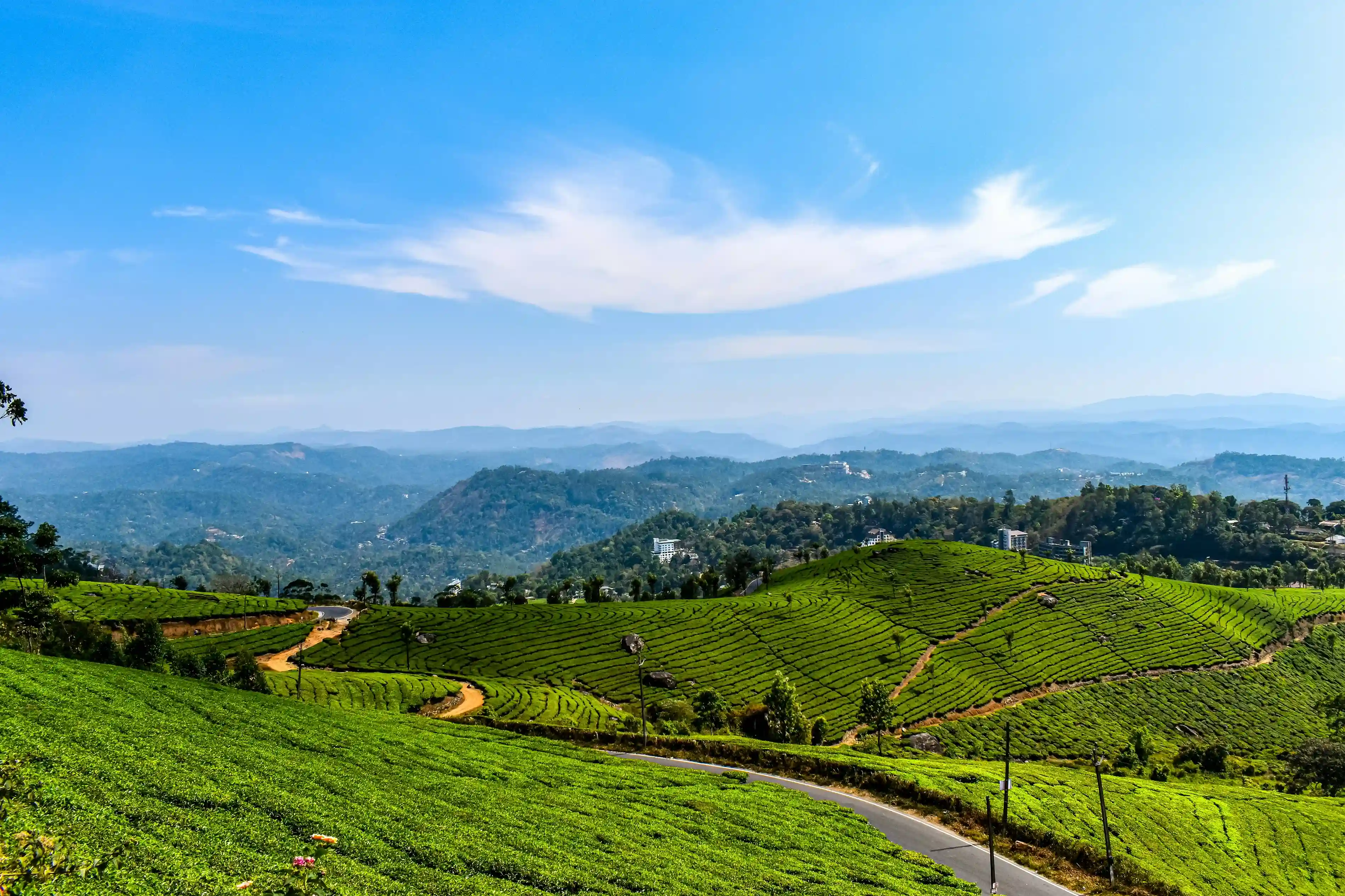 Munnar Tea Gardens Kerala