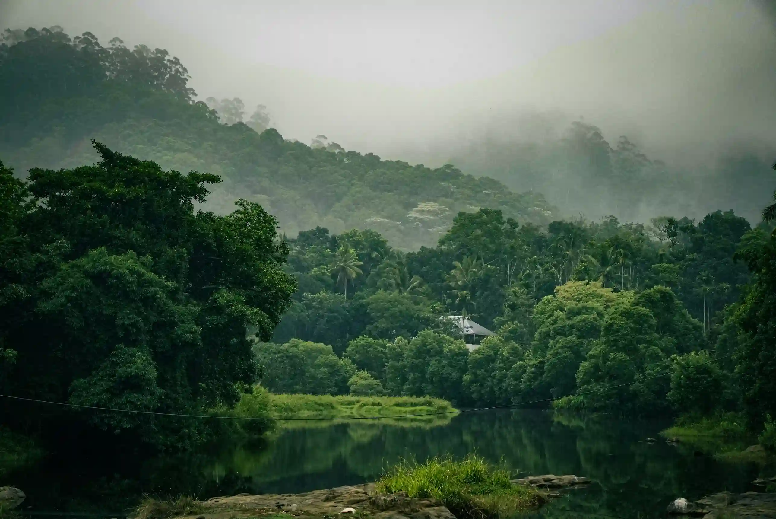 Thekkady Periyar Lake
