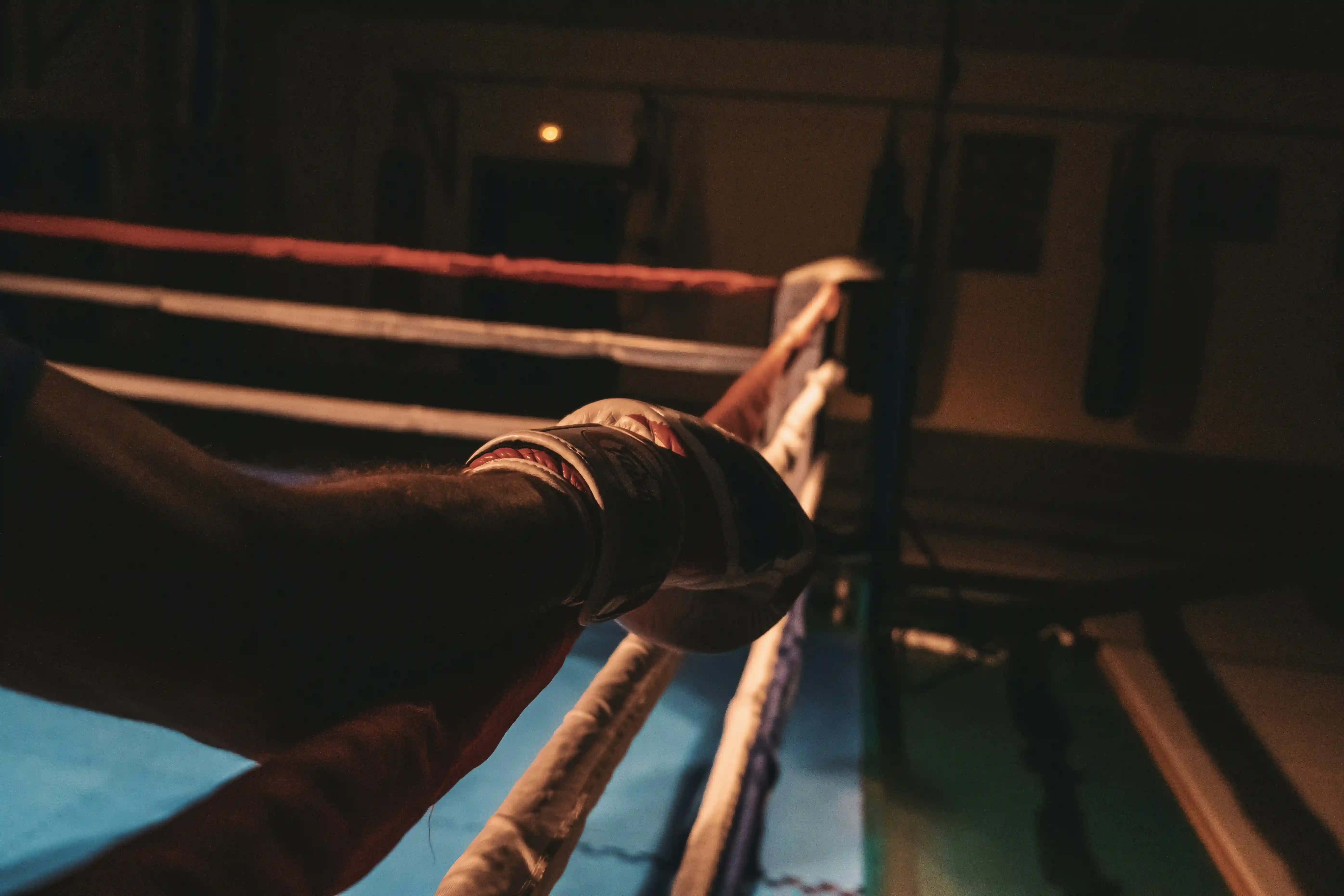 Boxing Ring and Bags