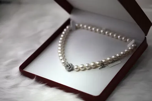 Statement Pieces Collection