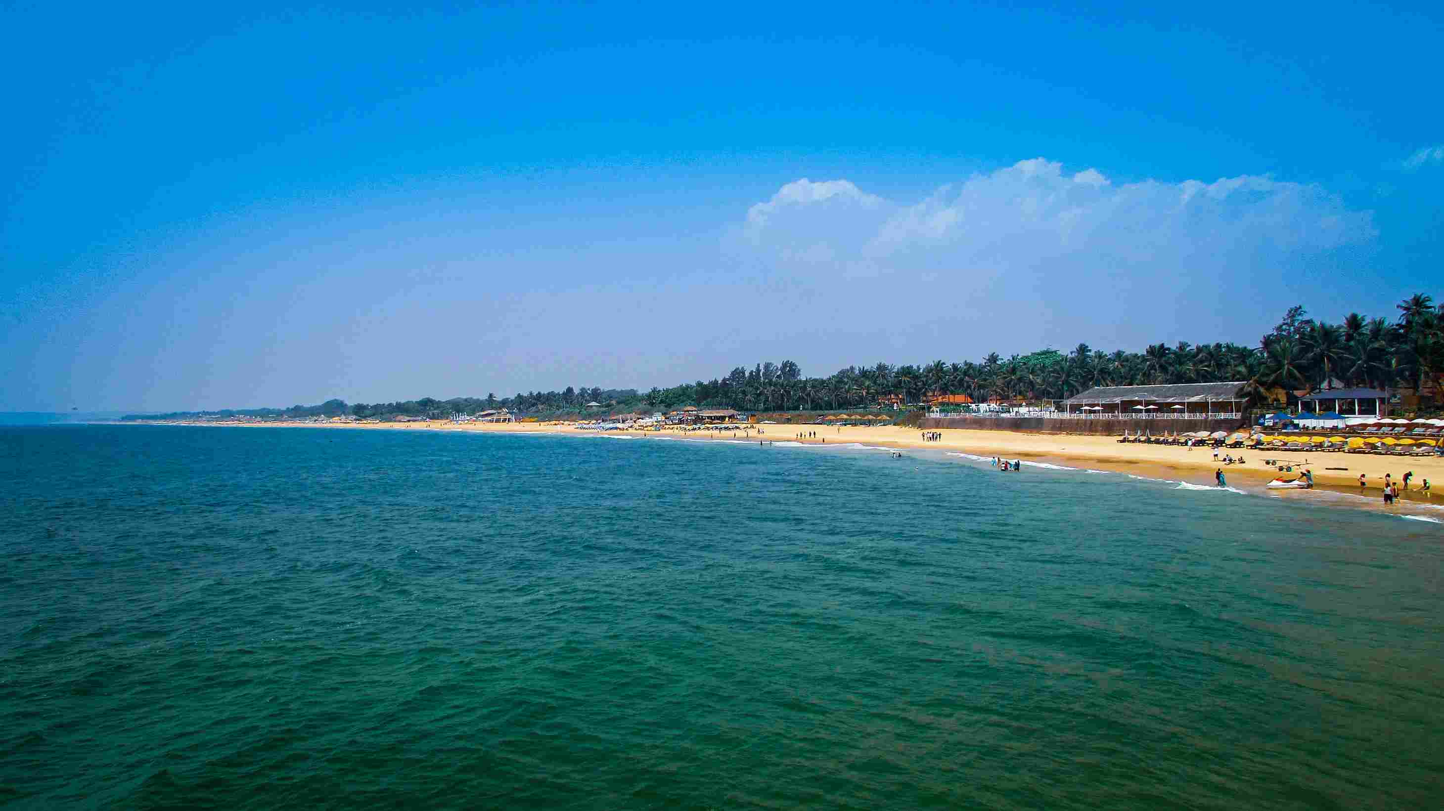 Pristine golden sands and palm trees of Candolim Beach