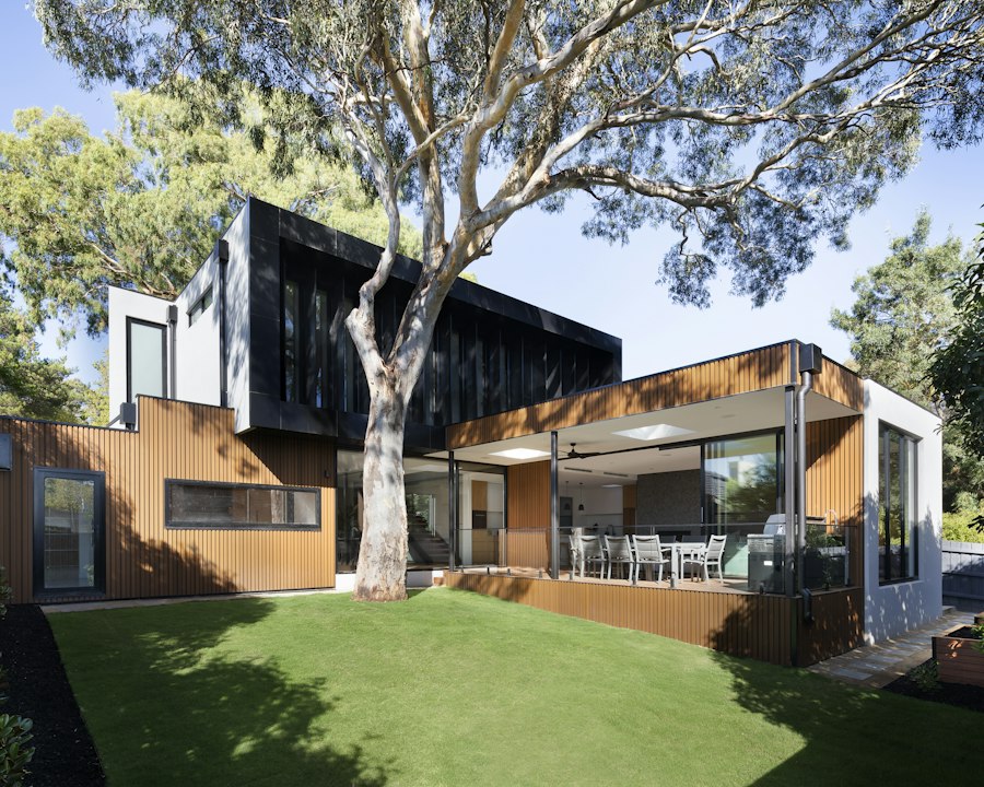 Arjun Mehta’s completed home: a timber and dark-clad residence set around a mature tree