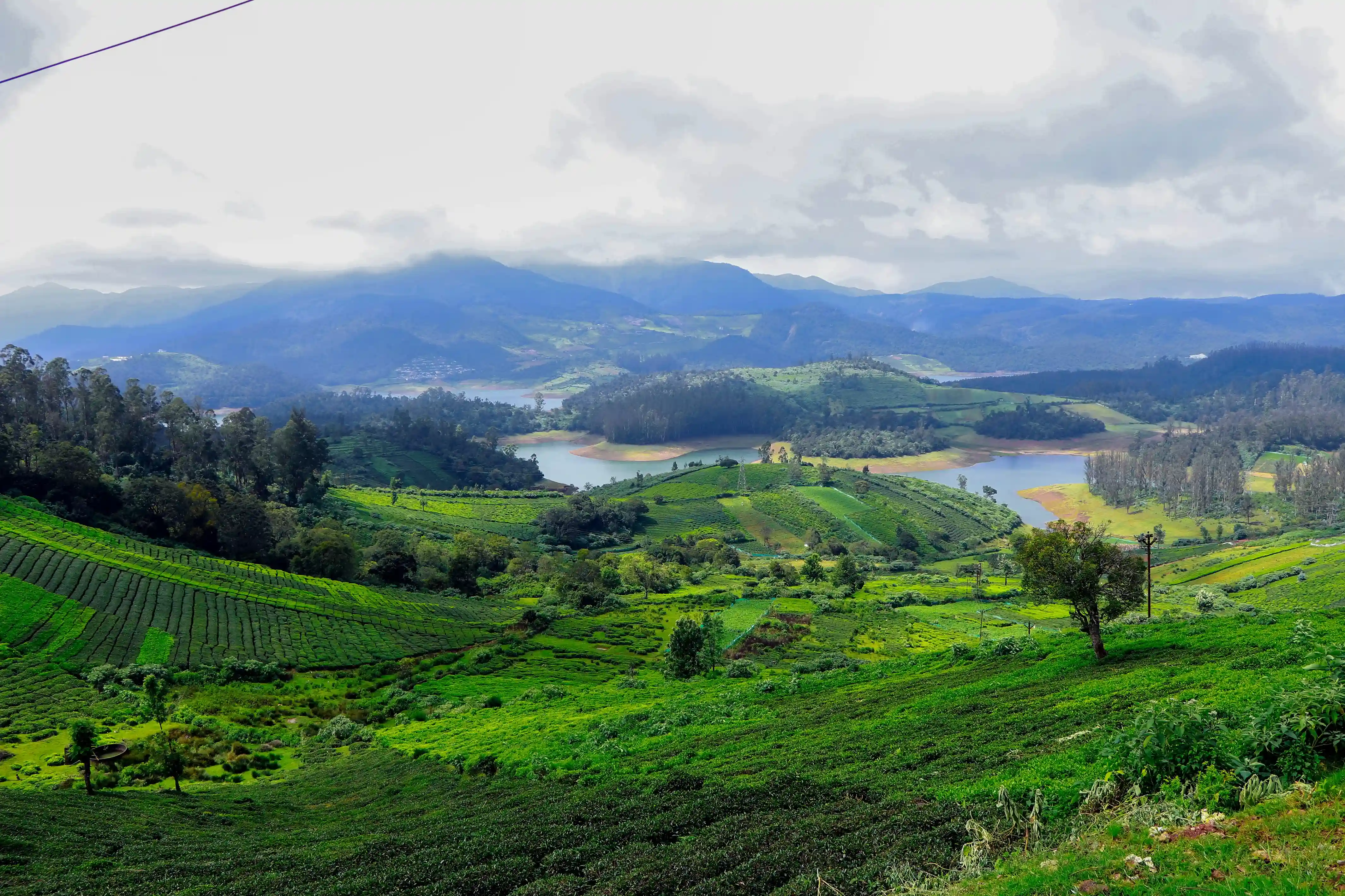 Ooty Destination
