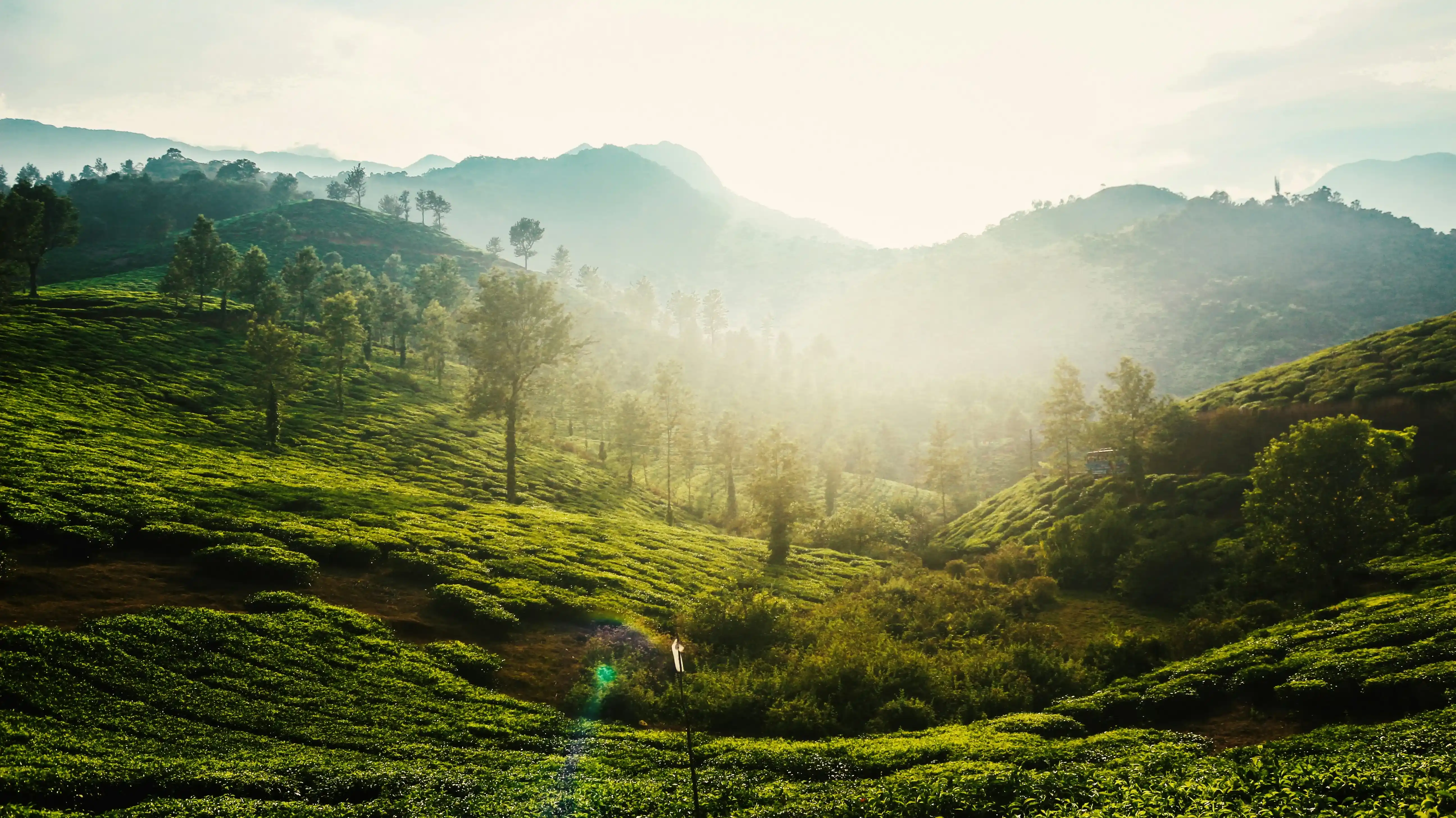 Wayanad Destination